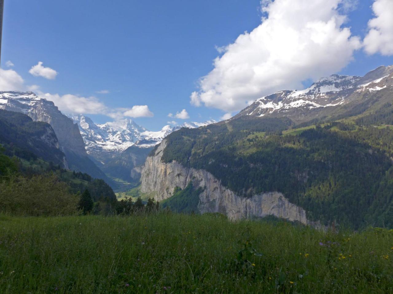 Studio Chalet Silence By Interhome Wengen Exteriör bild